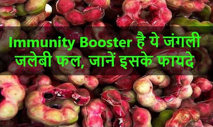 मद्रास थोर्न