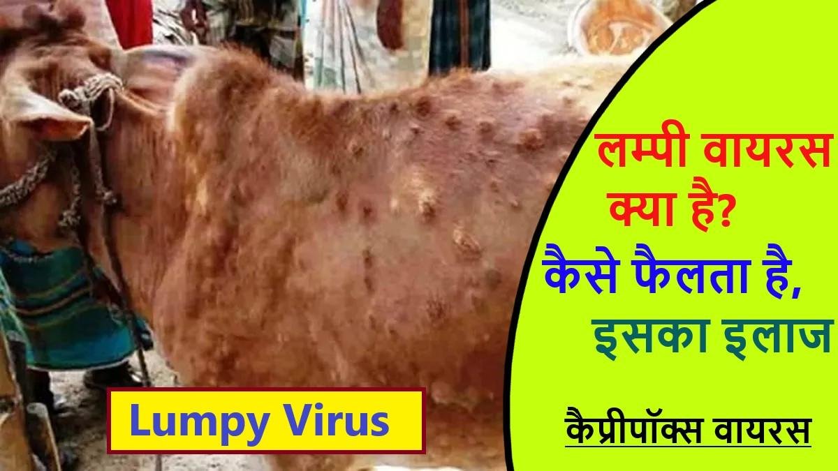लम्पी वायरस