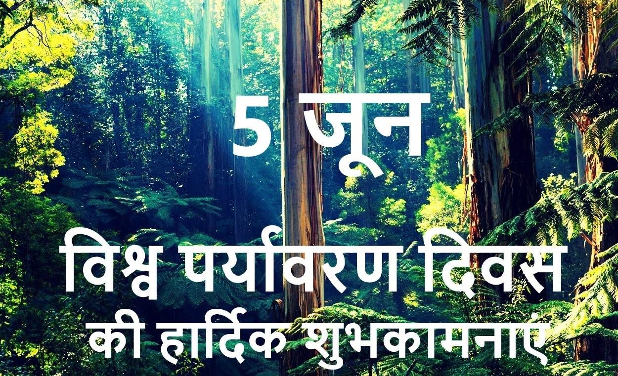 World Environment Day 2023